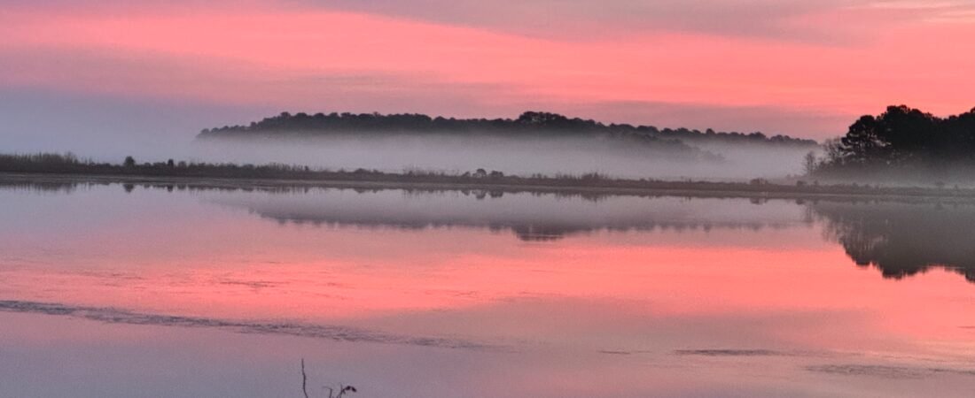 Join SIB – Beyond our Backyard-Bear Island and Donnelly WMA