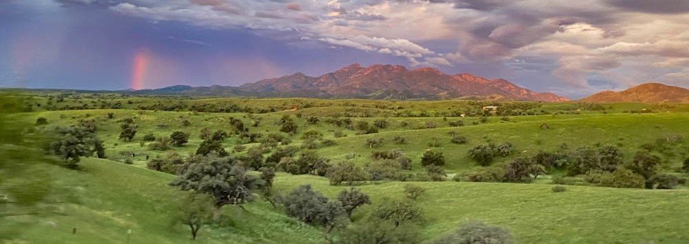 SIB Travels: The SE Arizona Birding Festival!