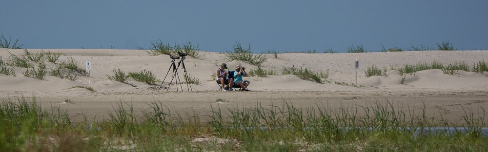 Birding on North Beach - Ed Konrad