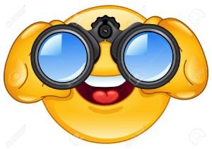 9594918-emoticon-looking-through-binoculars