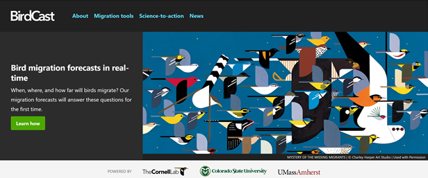 SIB Reports: Fall Migration 
and Bird Cast