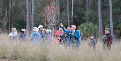 SIB Reports: Protect against cognitive decline – by birdwatching!
