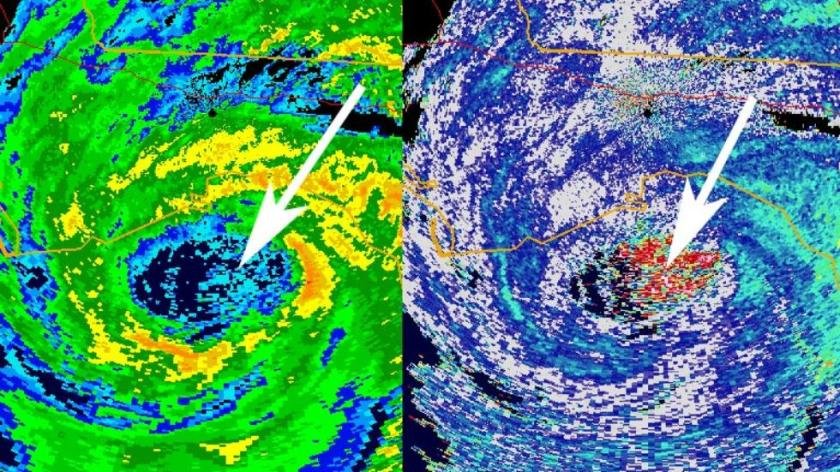 As Hurricane Hermine made landfall along Florida's Gulf coast, radar detected an interesting phenomenon: birds trapped flying inside the calm eye of Hermine. The red shaded area on the image to the right shows the birds swirling inside Hermine's eye just before landfall.
