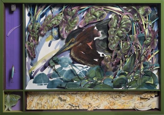 Hitnes Green Heron