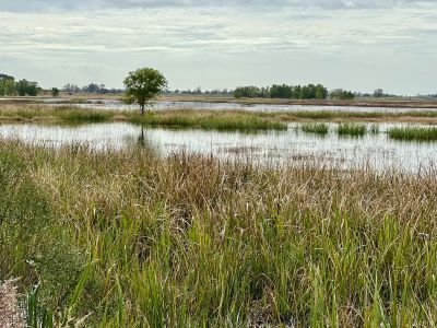 Join SIB: Beyond Our Backyard at Hollings ACE Basin