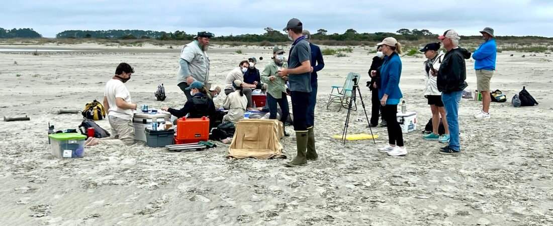 Red Knot Update!