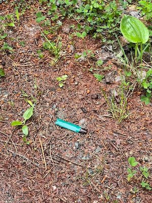 Bullet casing found along the side of the dirt road.