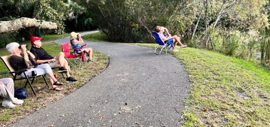 Learning Together: Sit, Sip and See – Palmetto Lake