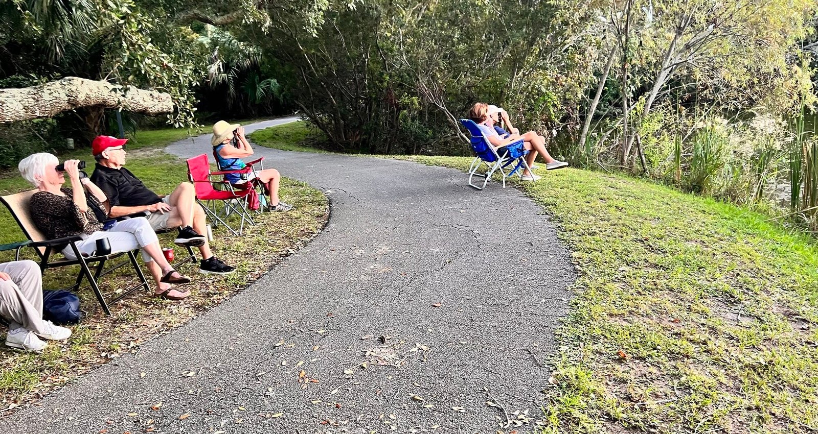 Join SIB: Sit, Sip and See at Palmetto Lake