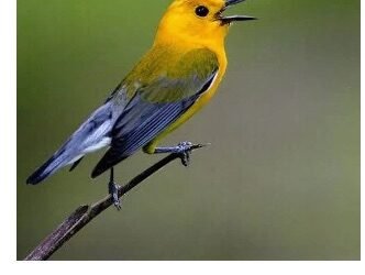 Matt Johnson Sept 29, 2025 Program Recording Now Available