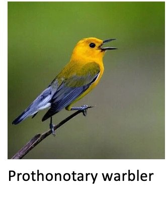 Matt Johnson Sept 29, 2025 Program Recording Now Available