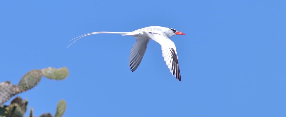 Galapagos Island Adventure – Part 5