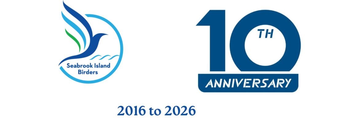 SIB’s Article for the January issue of “The Seabrooker”