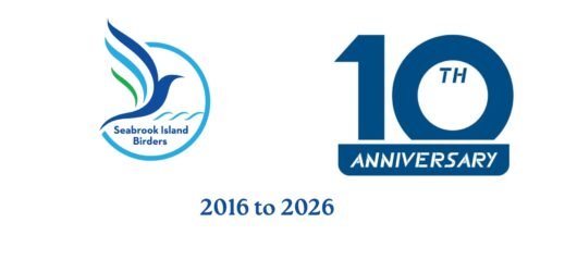 SIB’s Article for the January issue of “The Seabrooker”