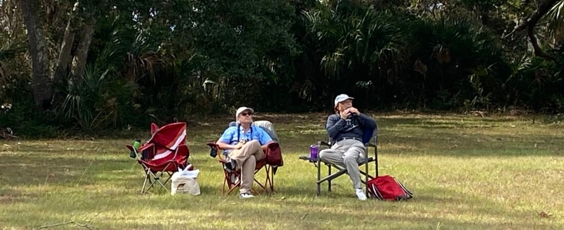 Join SIB for Hawk Watch at Botany Bay