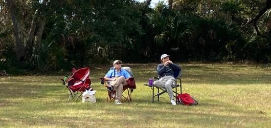 Join SIB for Hawk Watch at Botany Bay