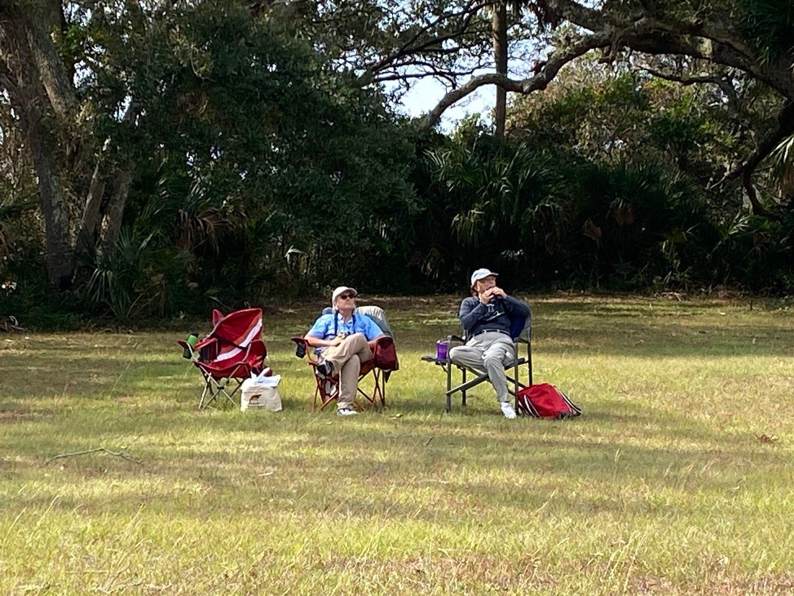 Join SIB for Hawk Watch at Botany Bay