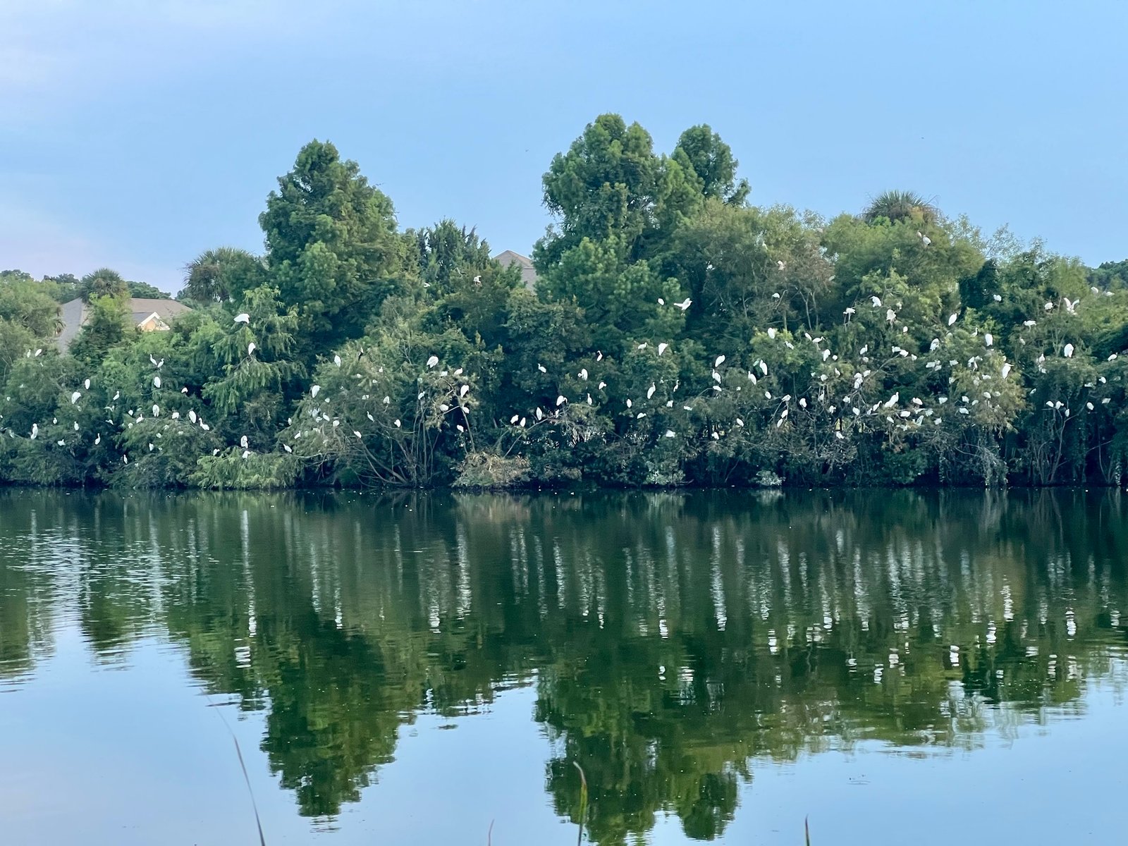 Join SIB: Sit, Sip and See at Palmetto Lake