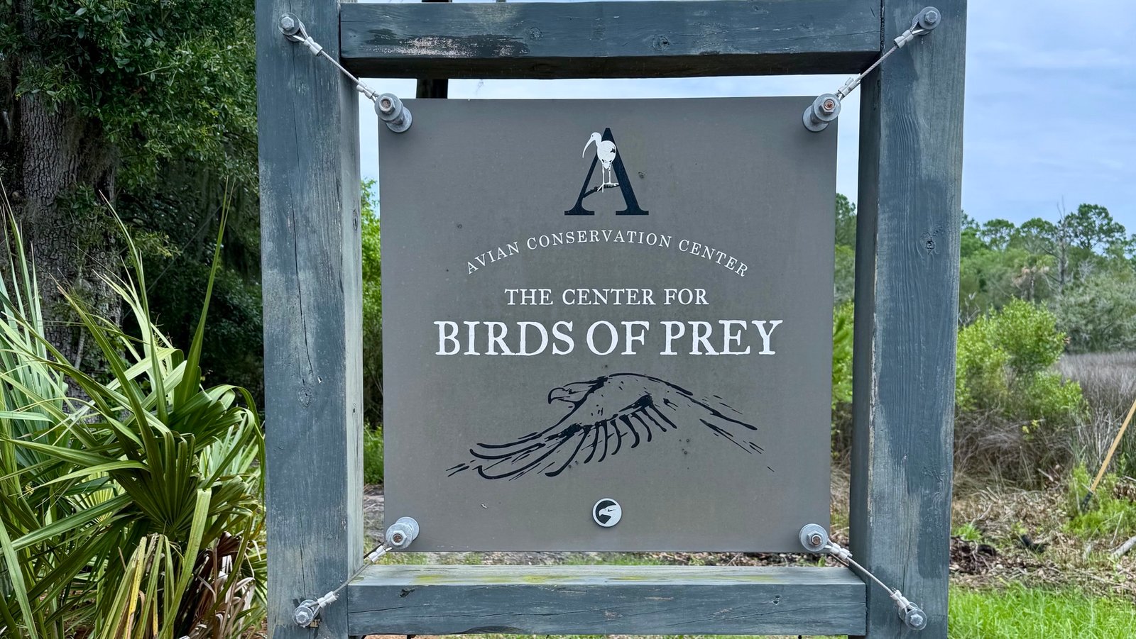 The Rewards of Volunteering at the Avian Conservation Center