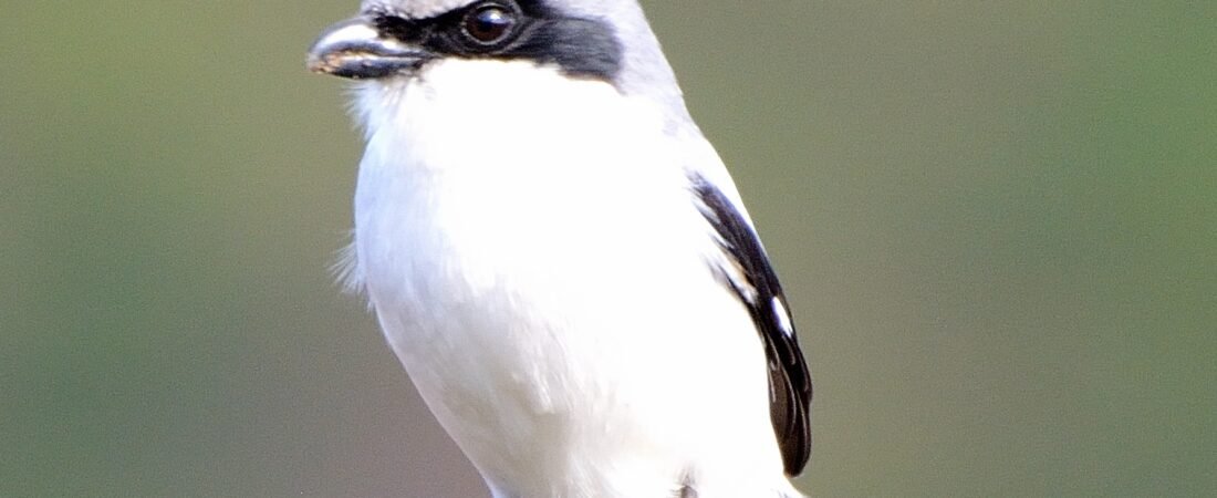 Join SIB: Beyond Our Backyards at Kiawah River