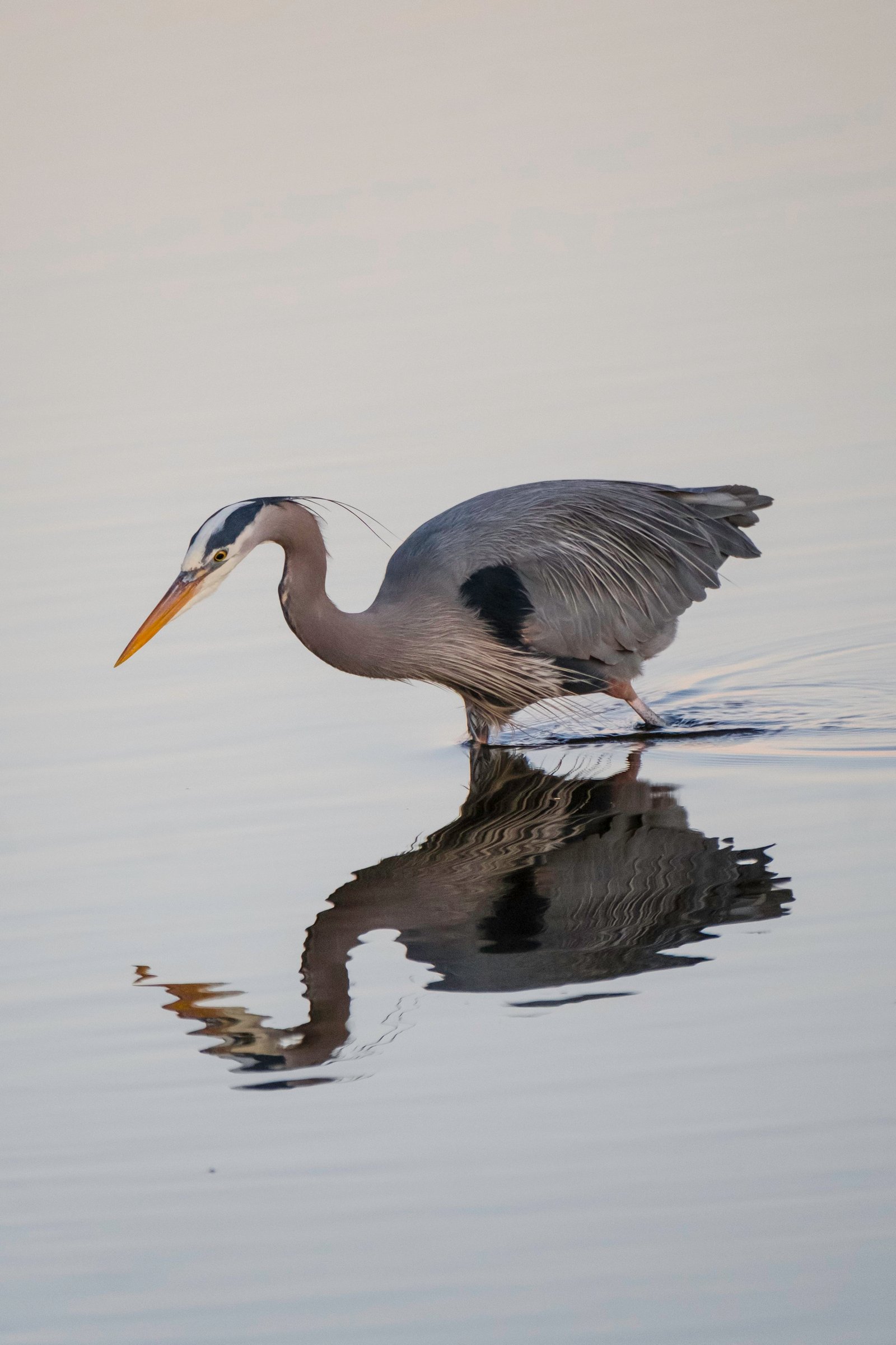 https://sibirders.info/wp-content/uploads/2026/02/2022-03-122BRoyal2BRoads-16.jpg