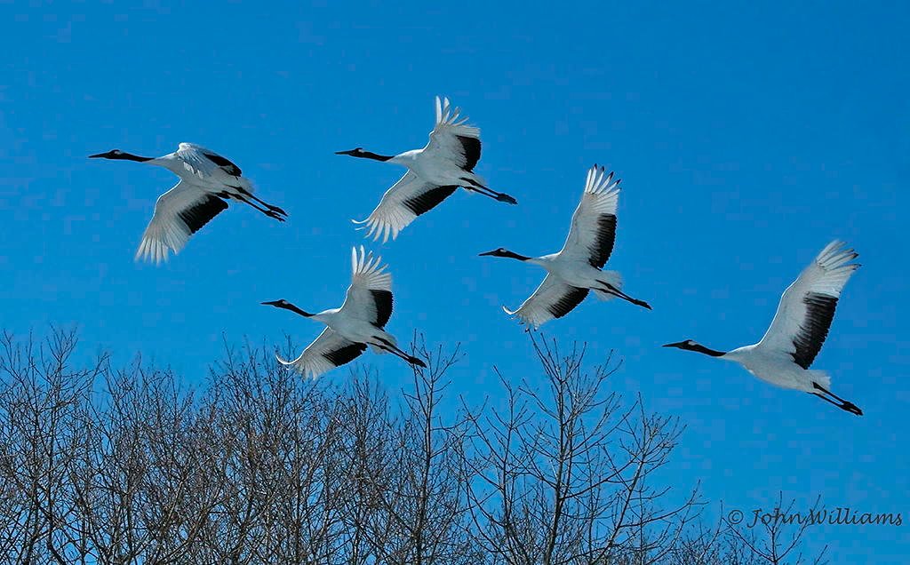 https://sibirders.info/wp-content/uploads/2026/02/290-1486175058-6.jpg