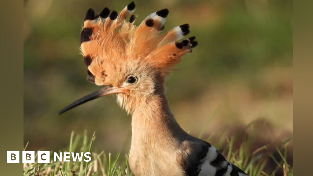 https://sibirders.info/wp-content/uploads/2026/02/682c30f0-854c-11ef-8cdb-5b67fdd86cfe.png