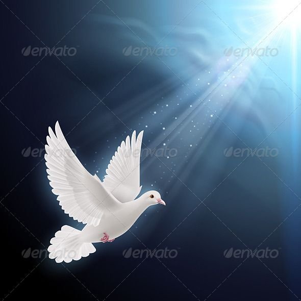 https://sibirders.info/wp-content/uploads/2026/02/ff782a4565b22e7b351f5fffcc36694b.jpg