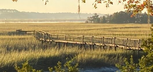 Join SIB on a walk in March!