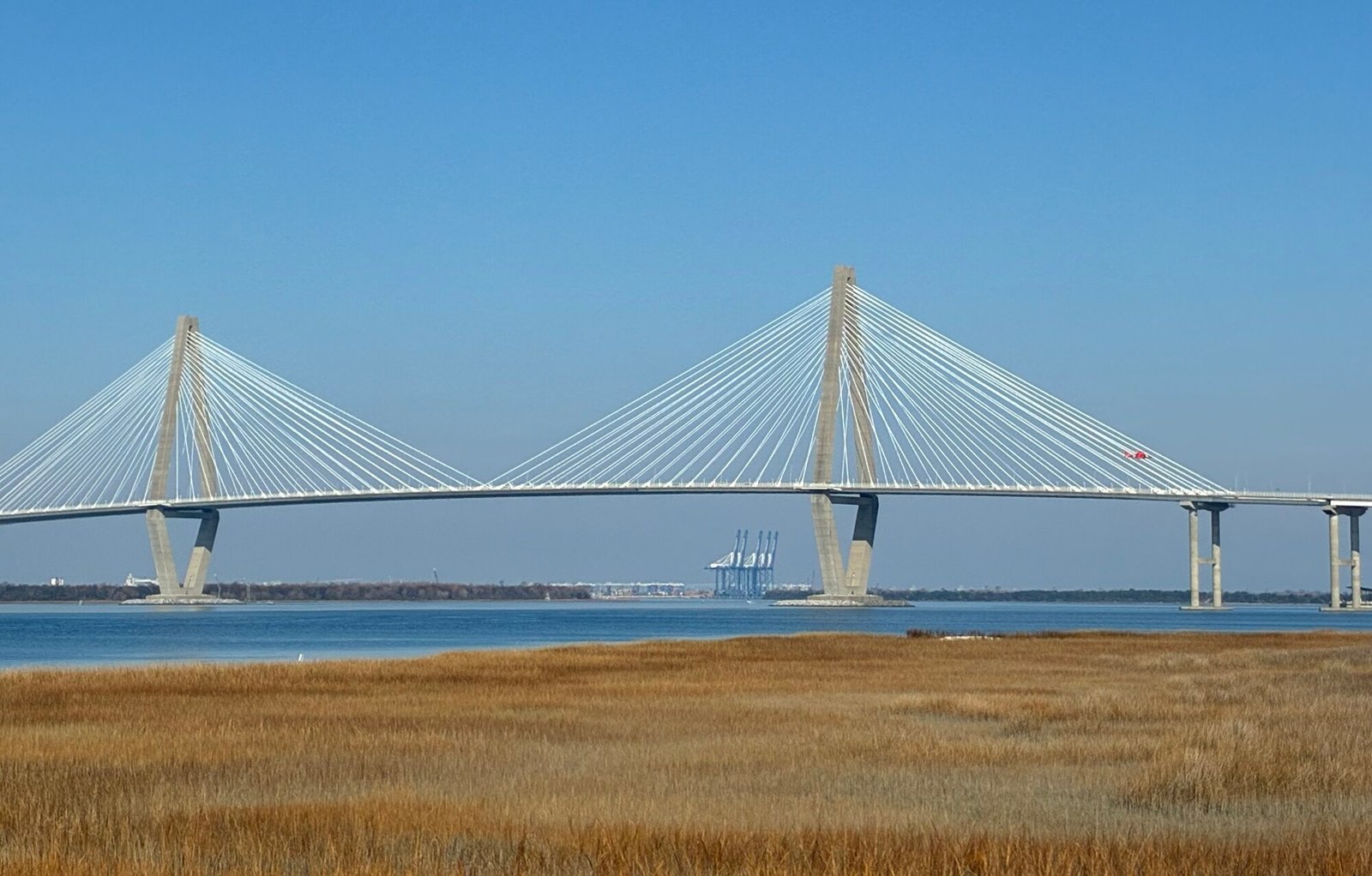 Join SIB:  Beyond our Backyard – Patriot’s Point Nature Trail
