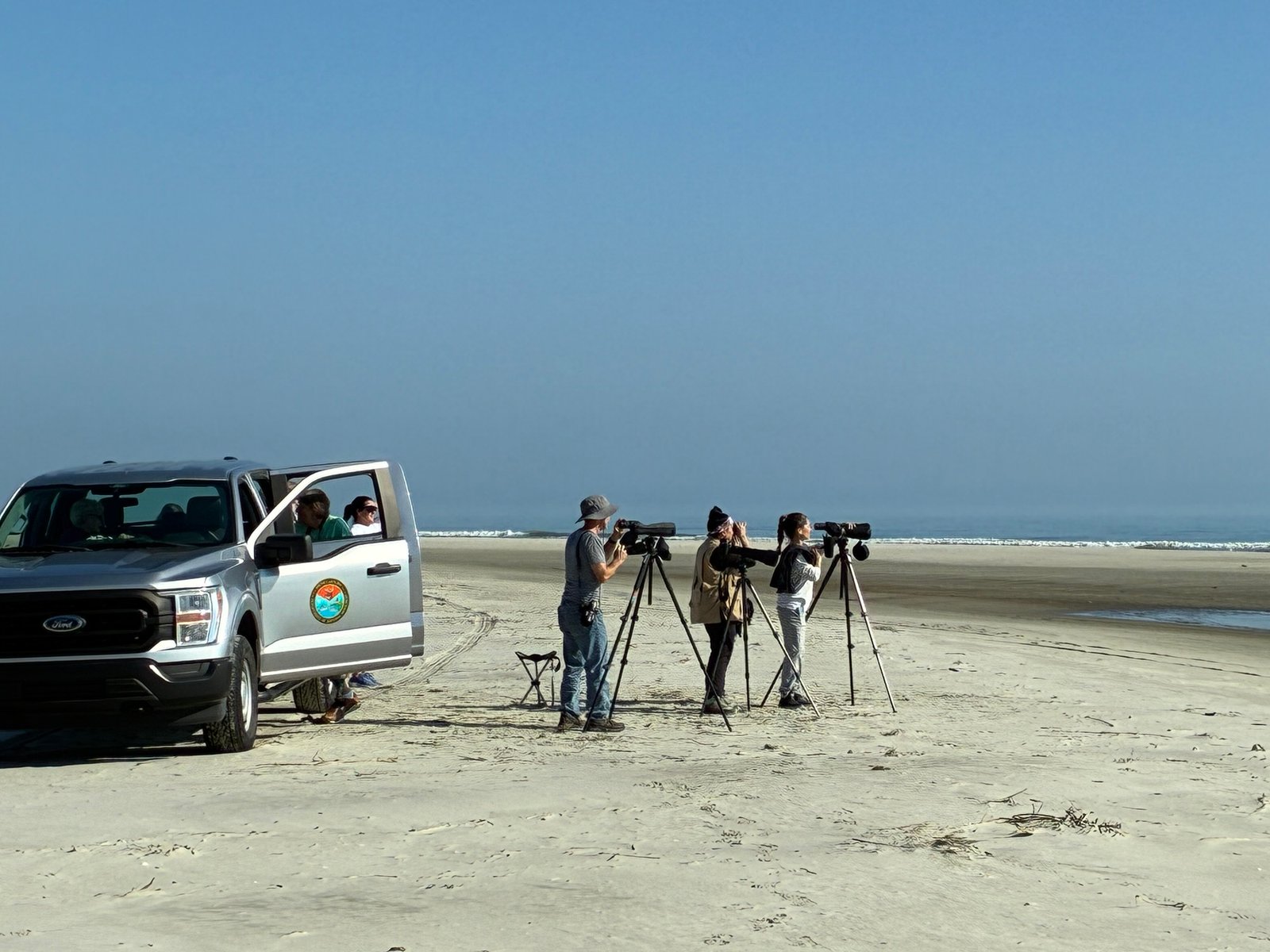 Join SIB:  Shorebird Walk on North Beach with Cami Duquet, SCDNR