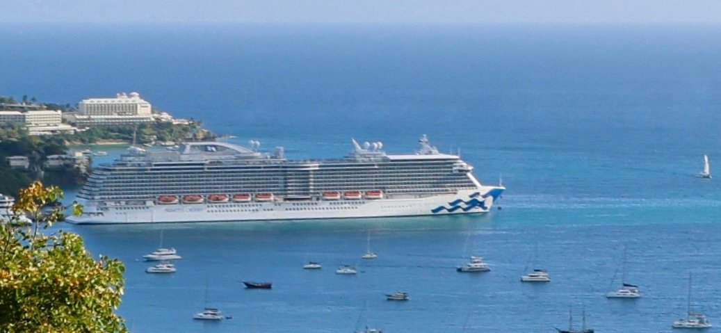 The Cruising Dilettante Birders