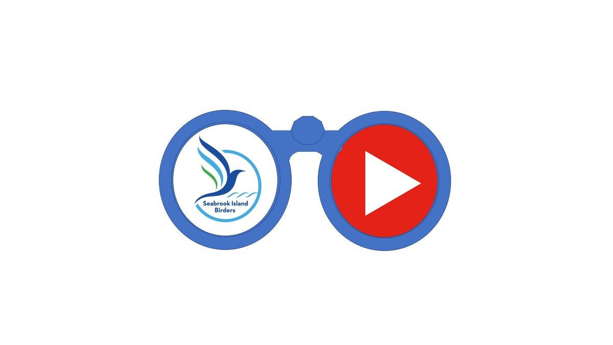 Seabrook Island Birders Presents