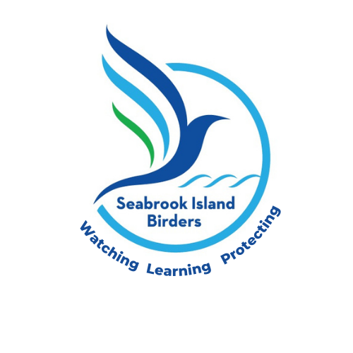 Seabrook Island Birders Spreads Its Wings