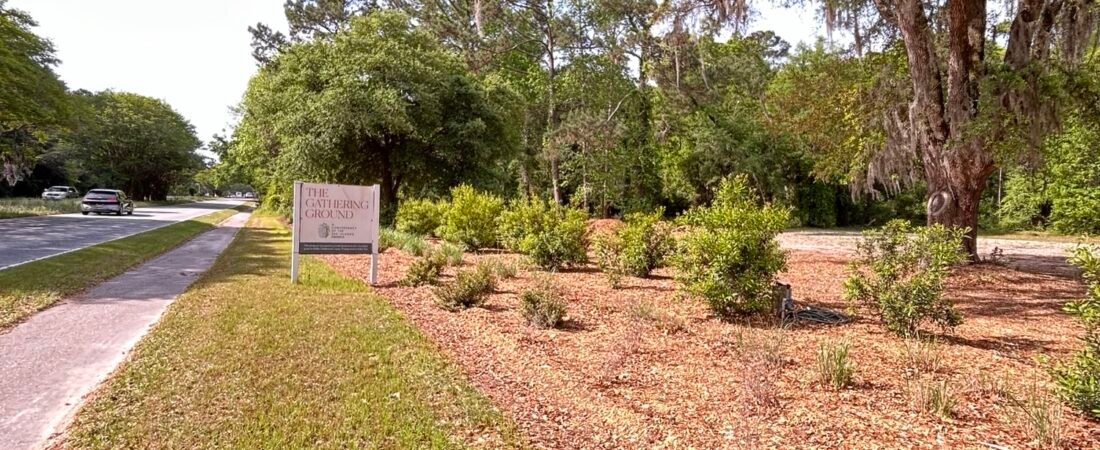Beyond our Backyard: Birding at The Gathering Ground
