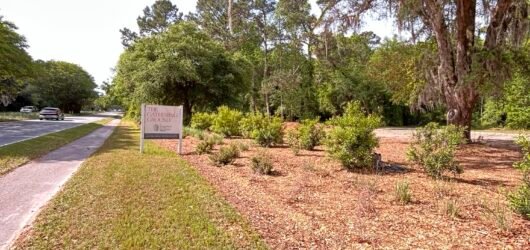 Beyond our Backyard: Birding at The Gathering Ground
