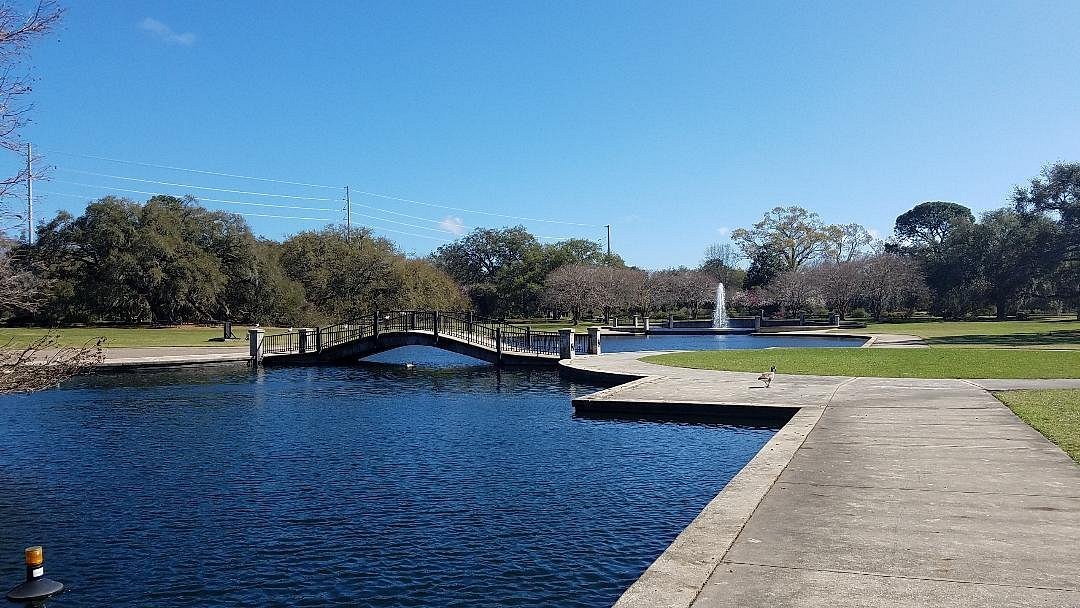 Beyond Our Backyard: Hampton Park and White Point Gardens