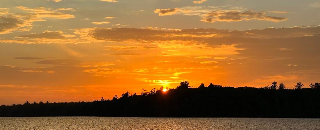 Summer Birding – Road Trips and Travel Ideas