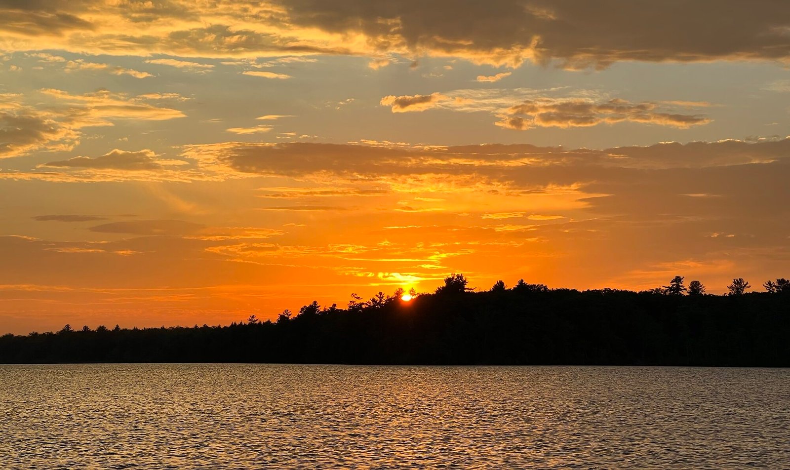 Summer Birding – Road Trips and Travel Ideas
