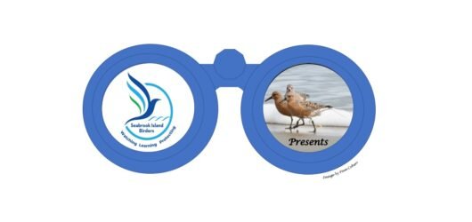 Harnessing New Technology to improve our understanding of Avian ecology