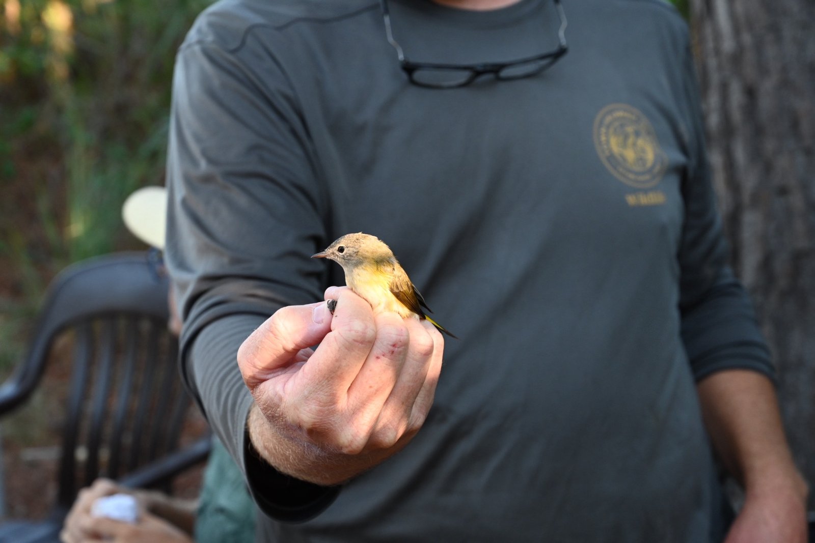 Visit the Kiawah Banding Station