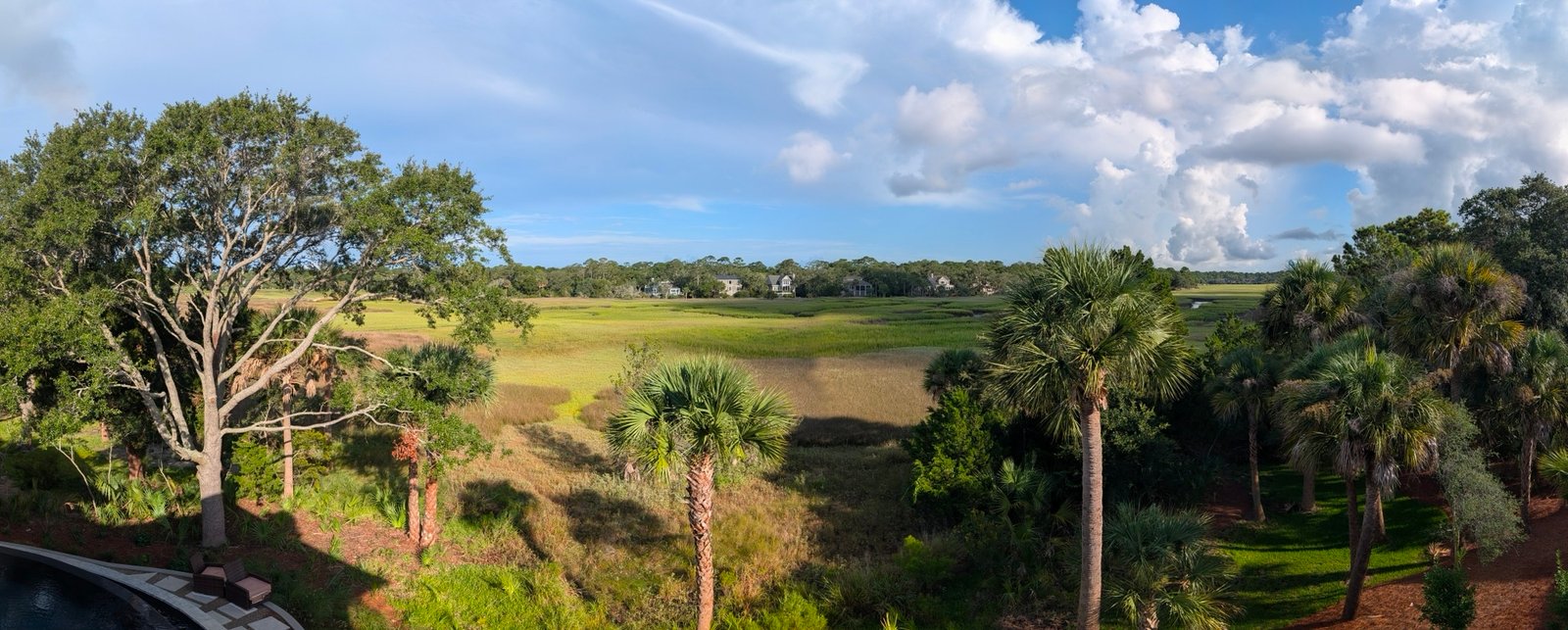 Join SIB for Backyard Birding on Oyster Catcher Court